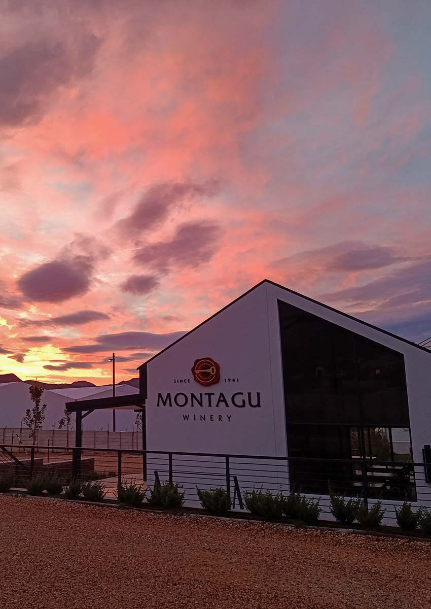 Montagu Winery