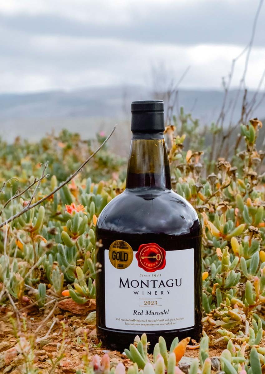 Montagu Winemaking